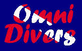 Omni Divers Underwater Services, L.L.C.