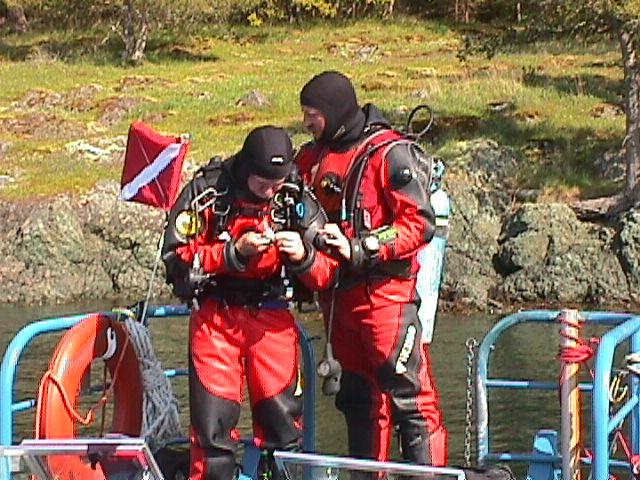 Suit up for the inspection dive!